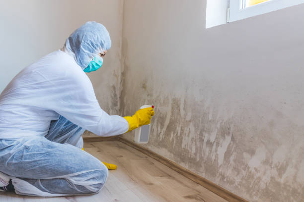 Hvac And Air Duct Mold Remediation inspection of HVAC system in Denver