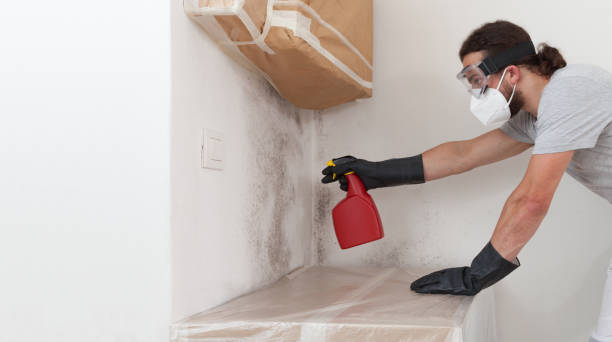 Attic Mold Remediation treatment on roof deck in Denver